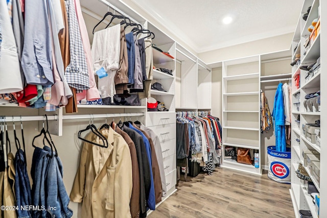 spacious closet with wood-type flooring