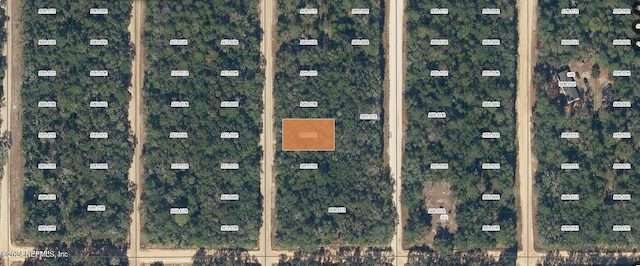 0 Neilsen Ave, Interlachen FL, 32148 land for sale