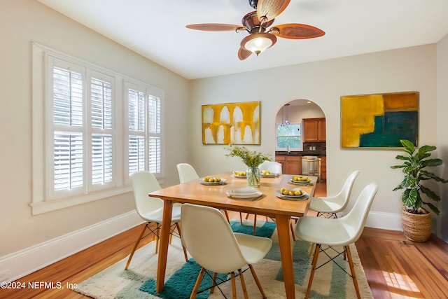 dining space with wood-type flooring, a wealth of natural light, and ceiling fan