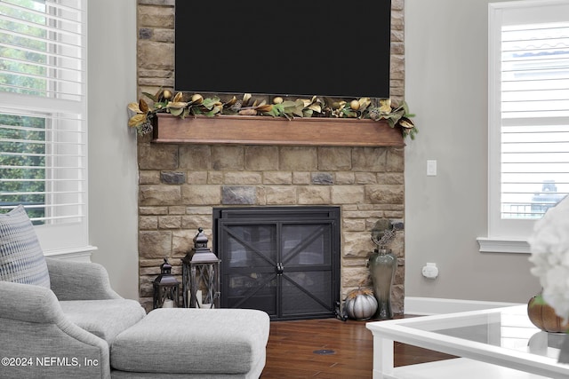 interior space with a stone fireplace and hardwood / wood-style flooring