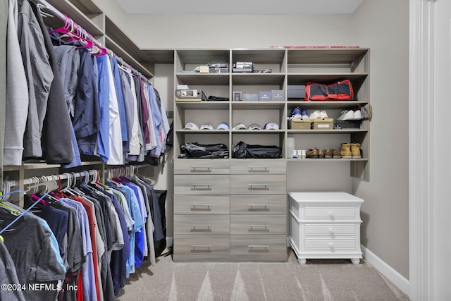 spacious closet featuring carpet floors