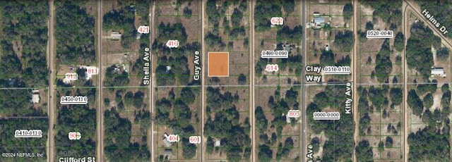 0 Guy Ave, Interlachen FL, 32148 land for sale