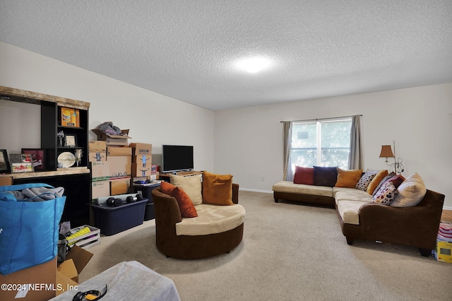 carpeted living room with a textured ceiling