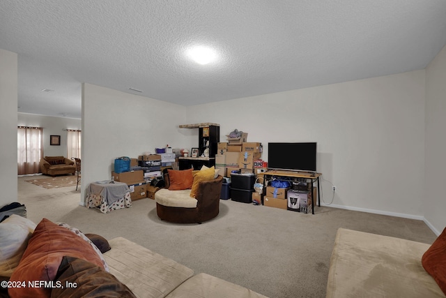 living room with a textured ceiling and light colored carpet