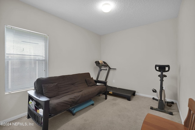 workout room featuring a textured ceiling and light carpet