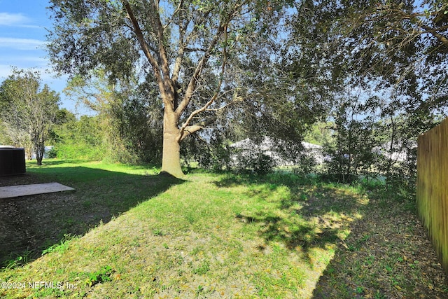 view of yard featuring central air condition unit