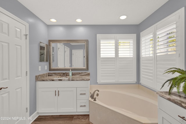 bathroom with wood-type flooring, vanity, and a bathtub