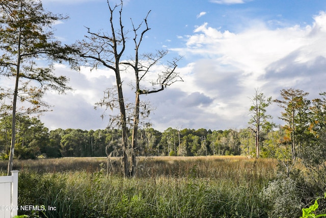 view of nature