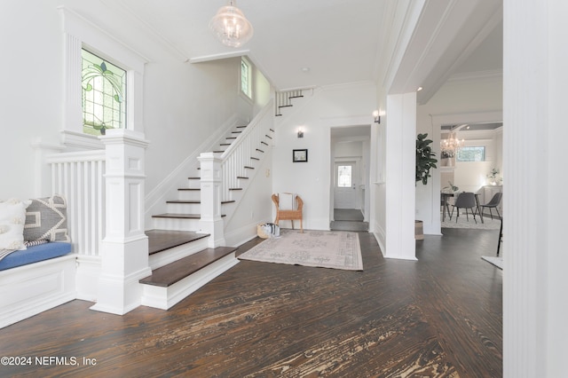 foyer featuring plenty of natural light, dark hardwood / wood-style floors, crown molding, and a chandelier