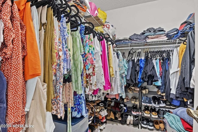 view of spacious closet