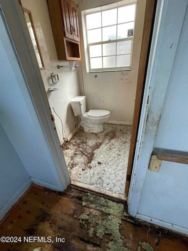 bathroom featuring toilet