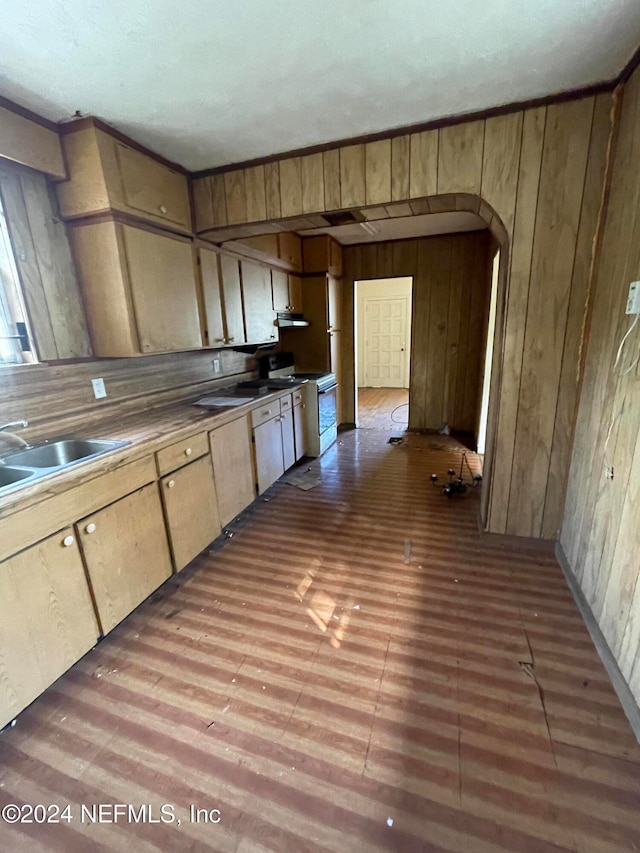 kitchen featuring sink, wooden walls, white range with electric cooktop, and light wood-type flooring