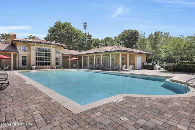 view of swimming pool with a patio