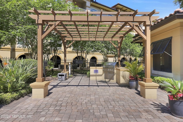 view of patio / terrace with area for grilling, a grill, and a pergola