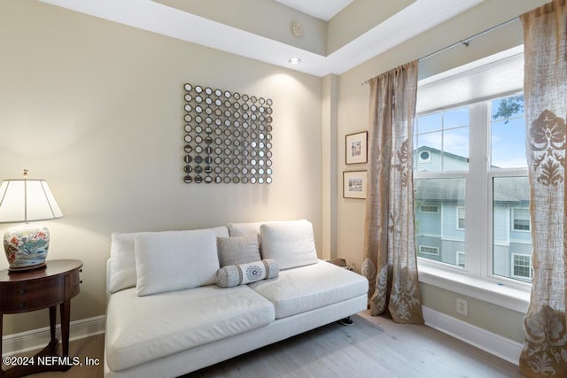 living room featuring hardwood / wood-style floors