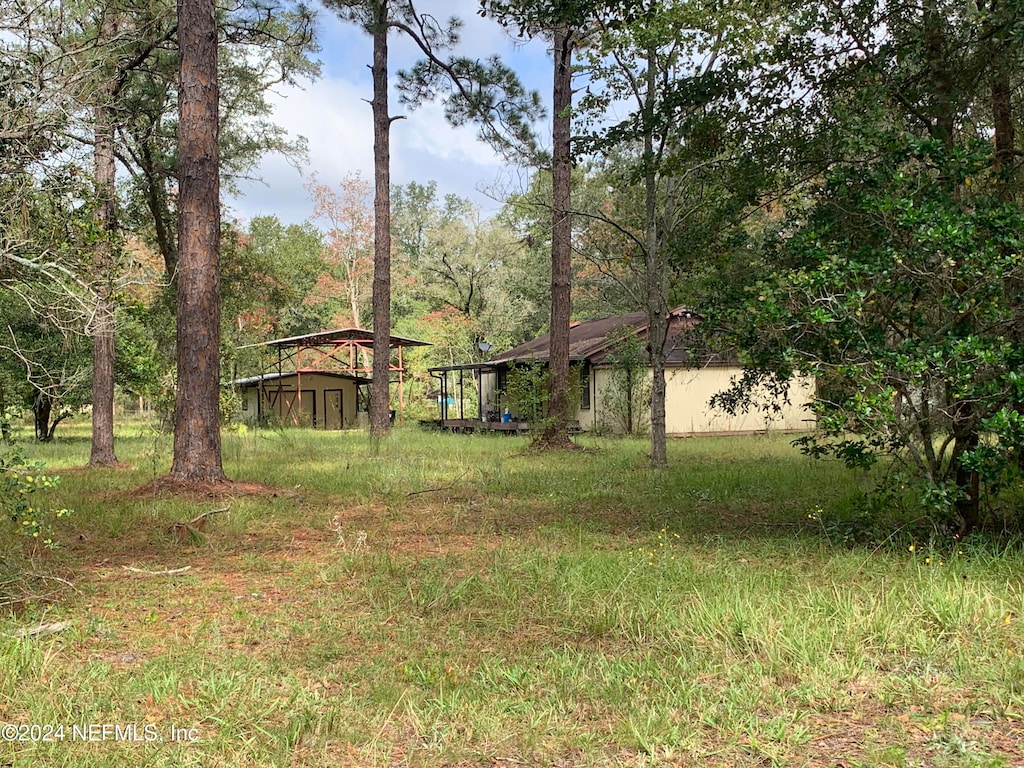 view of yard featuring a storage unit