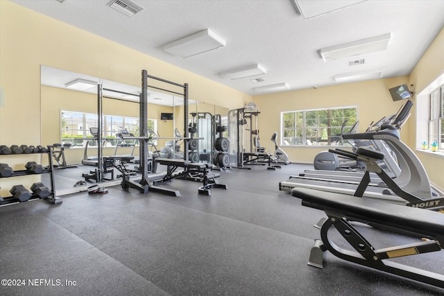 workout area with a textured ceiling and a healthy amount of sunlight