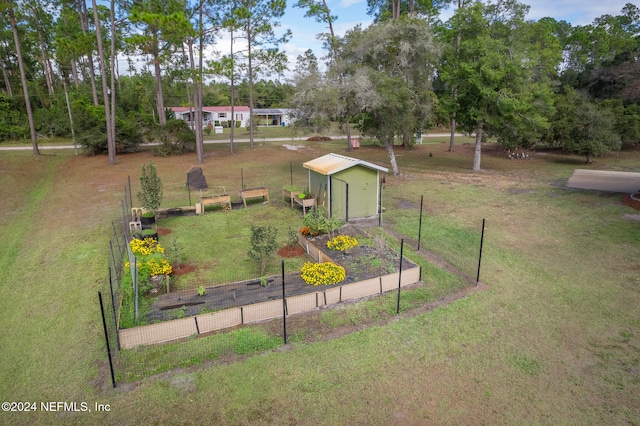 view of yard featuring a storage shed