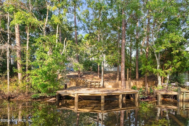 131 Kingfish Ave, Palatka, FL 32177 - exterior space with a water view