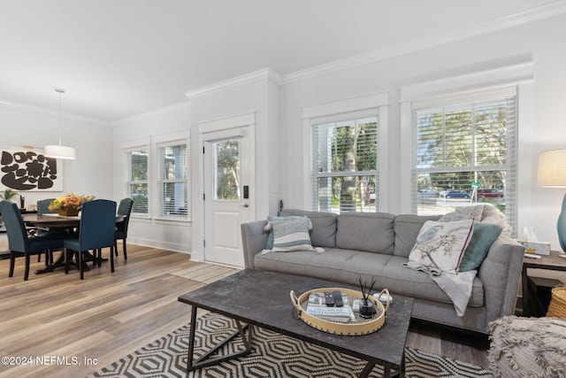 living room featuring light hardwood / wood-style floors, ornamental molding, and a wealth of natural light