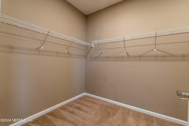 117 Pond Run Ln, Jacksonville, FL 32218 - photo 28