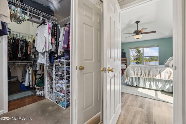 walk in closet featuring light hardwood / wood-style floors and ceiling fan