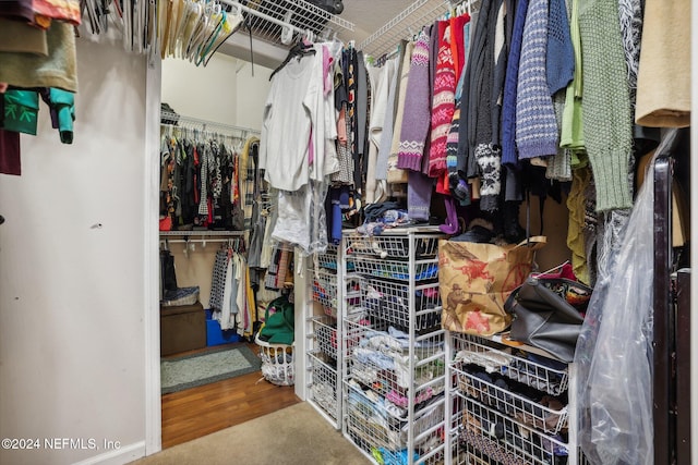 walk in closet featuring wood-type flooring