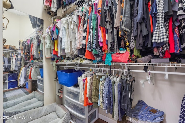 view of spacious closet