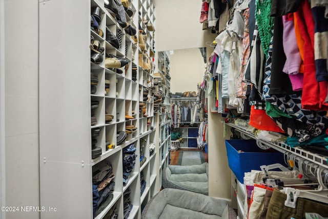 view of spacious closet