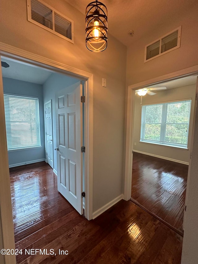 hallway featuring a chandelier and dark hardwood / wood-style flooring