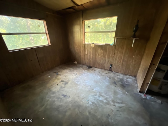 spare room featuring wooden walls and plenty of natural light