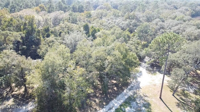 136 Pond Side Trl, Hawthorne, FL 32640 - photo 17