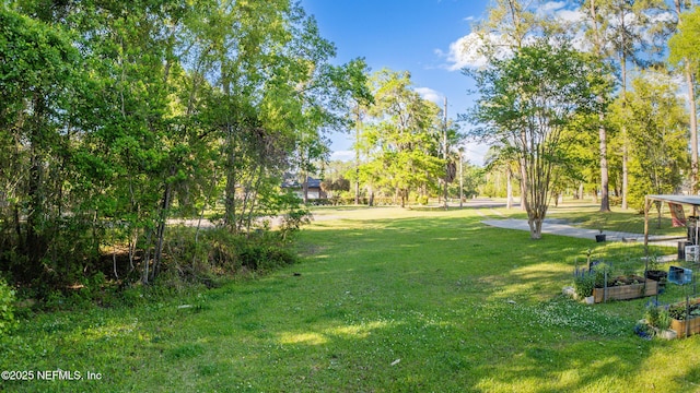 6332 Quiet Country Ln, Jacksonville, FL 32218 - photo 2