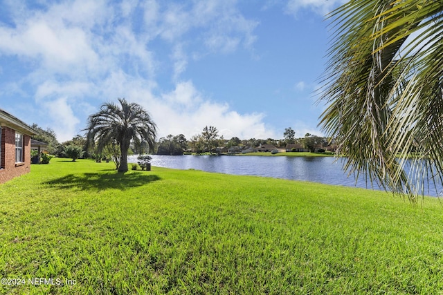 978 Tammy Cove Ln, Jacksonville, FL 32218 - view of water feature