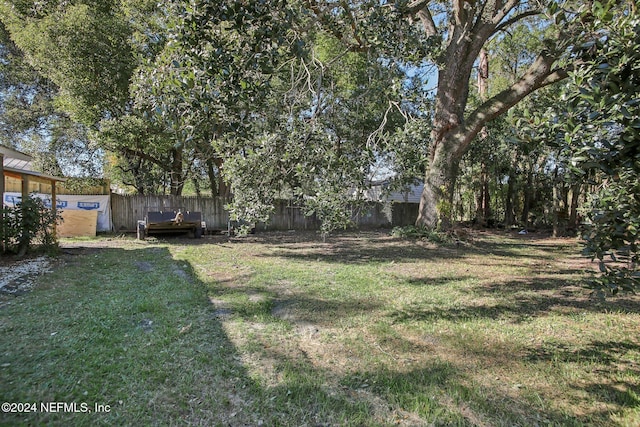 3730 Abby Ln, Jacksonville, FL 32207 - view of yard featuring a storage shed