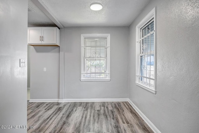 interior space with a textured ceiling, light hardwood / wood-style flooring, and a wealth of natural light