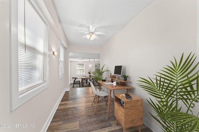 office space with a textured ceiling, dark hardwood / wood-style floors, and ceiling fan