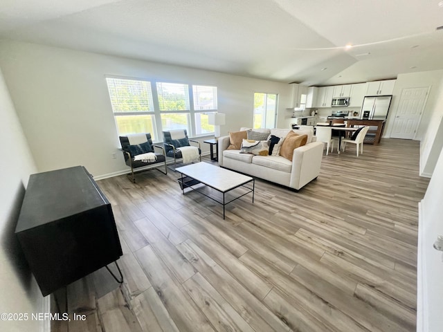 2320 Dallas Creek Ln, Green Cove Springs, FL 32043 - living area with light wood-style flooring and lofted ceiling