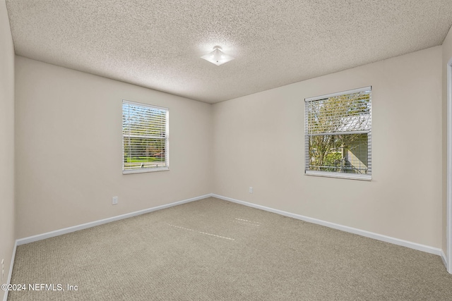 carpeted spare room with a textured ceiling and a wealth of natural light