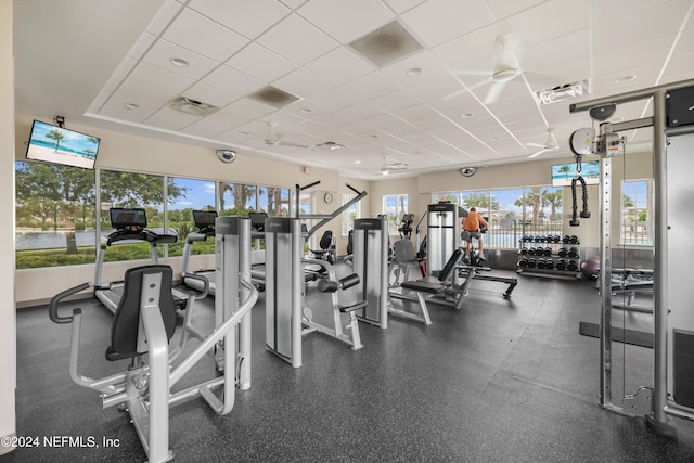 exercise room featuring ceiling fan, plenty of natural light, and a drop ceiling