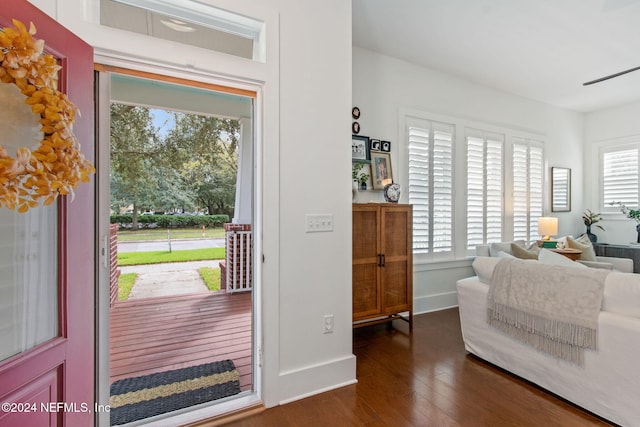 entryway featuring a wealth of natural light and dark hardwood / wood-style floors