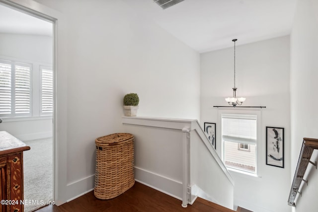 stairway featuring lofted ceiling, an inviting chandelier, hardwood / wood-style flooring, and a healthy amount of sunlight