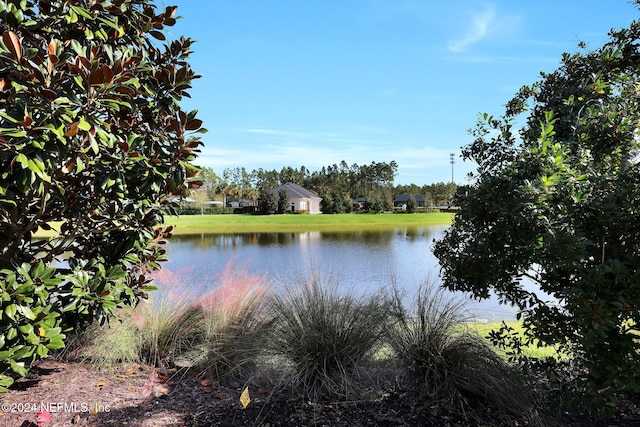 view of water feature