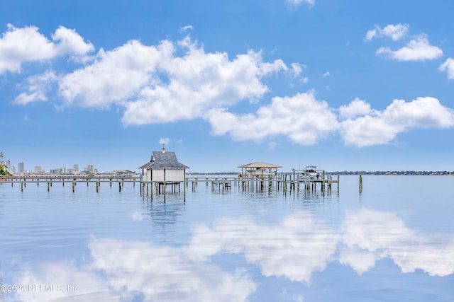 dock area with a water view