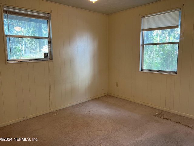 spare room featuring wood walls and light colored carpet