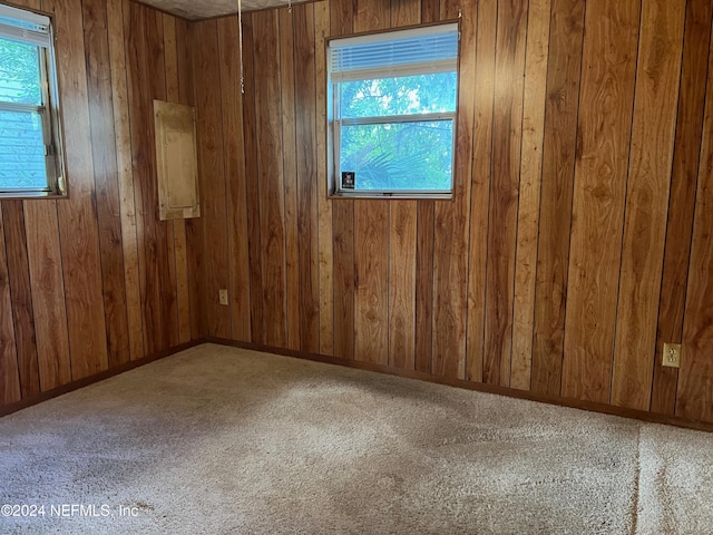 carpeted empty room with a healthy amount of sunlight and wooden walls