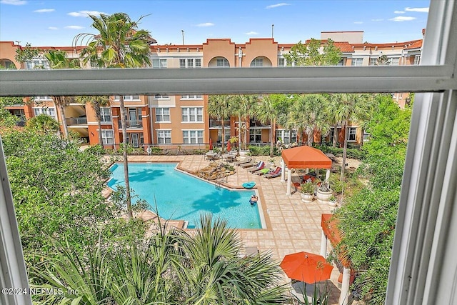 view of swimming pool featuring a patio