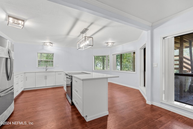 kitchen featuring dark wood-type flooring, hanging light fixtures, appliances with stainless steel finishes, and white cabinets