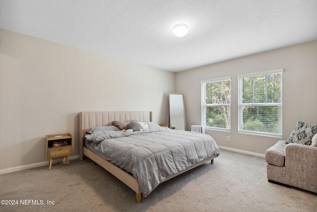 bedroom with a textured ceiling and carpet flooring