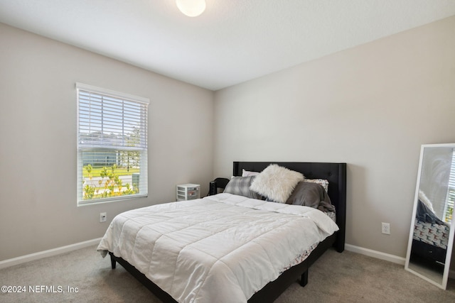 bedroom with carpet flooring